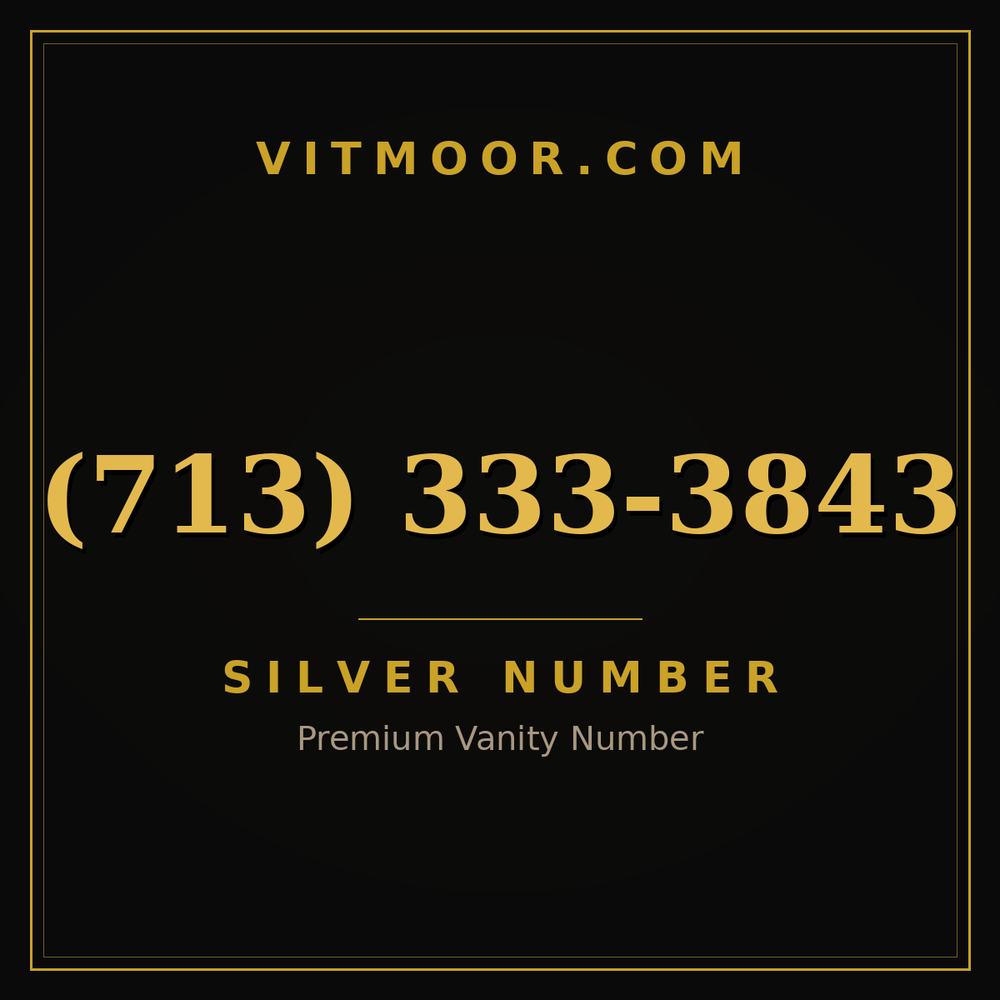 713 333-3843