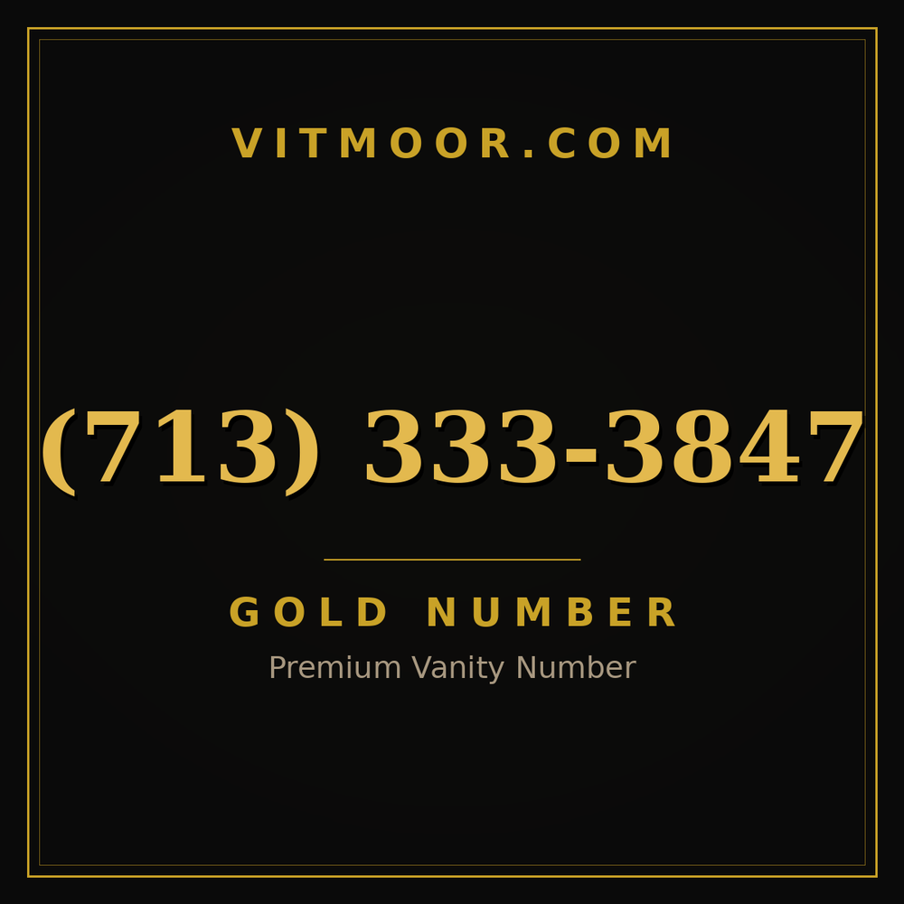 713 333-3847