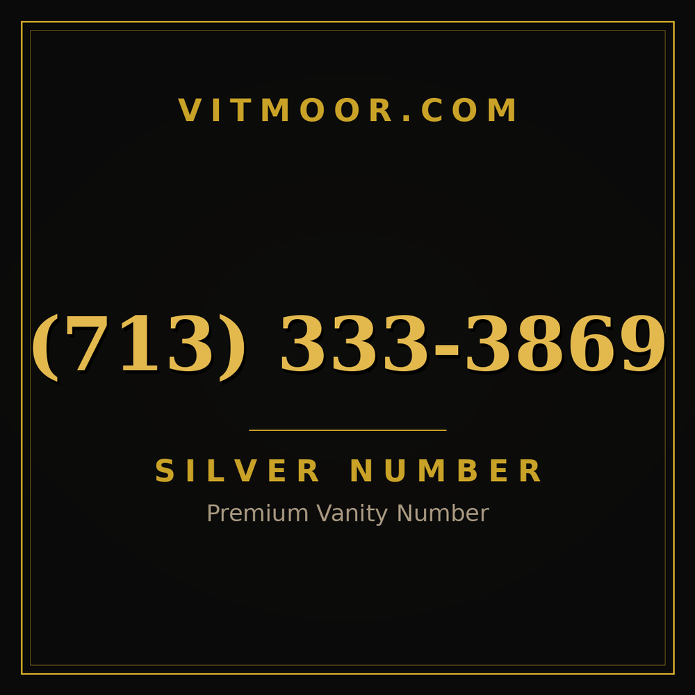 713 333-3869