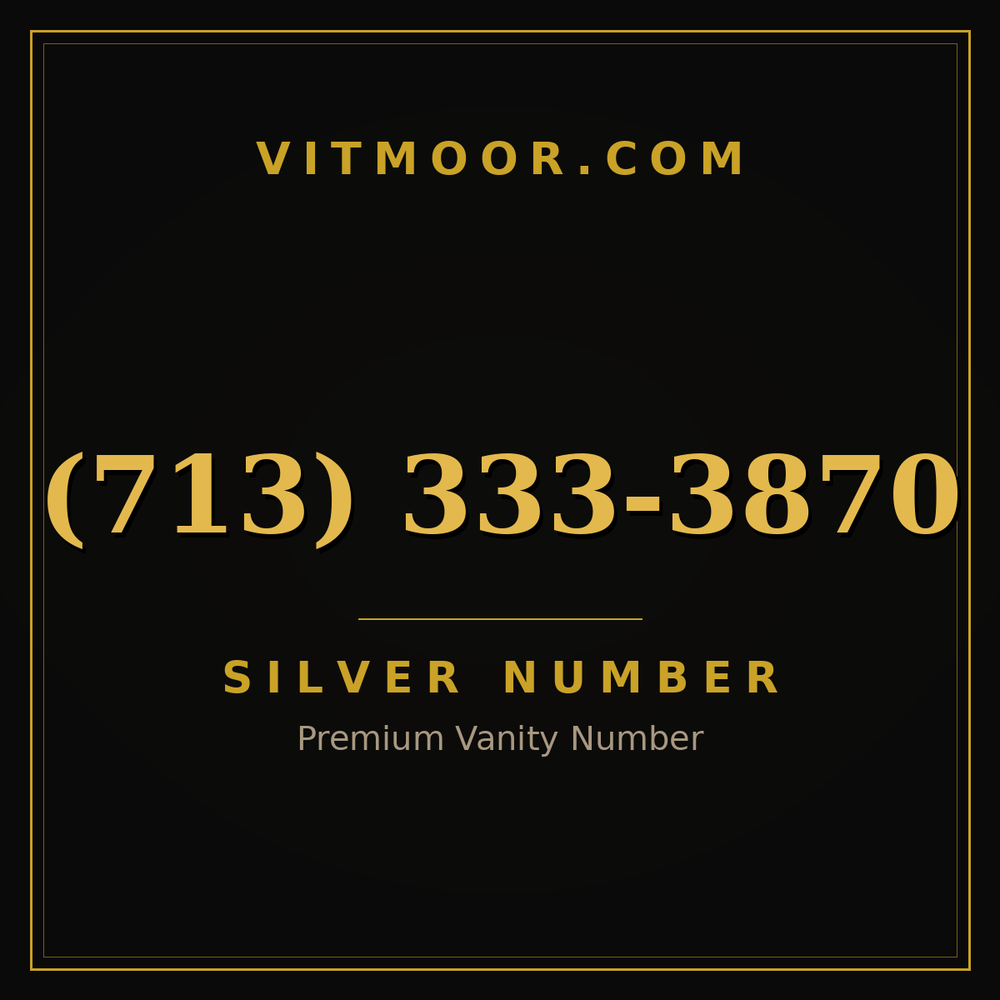 713 333-3870