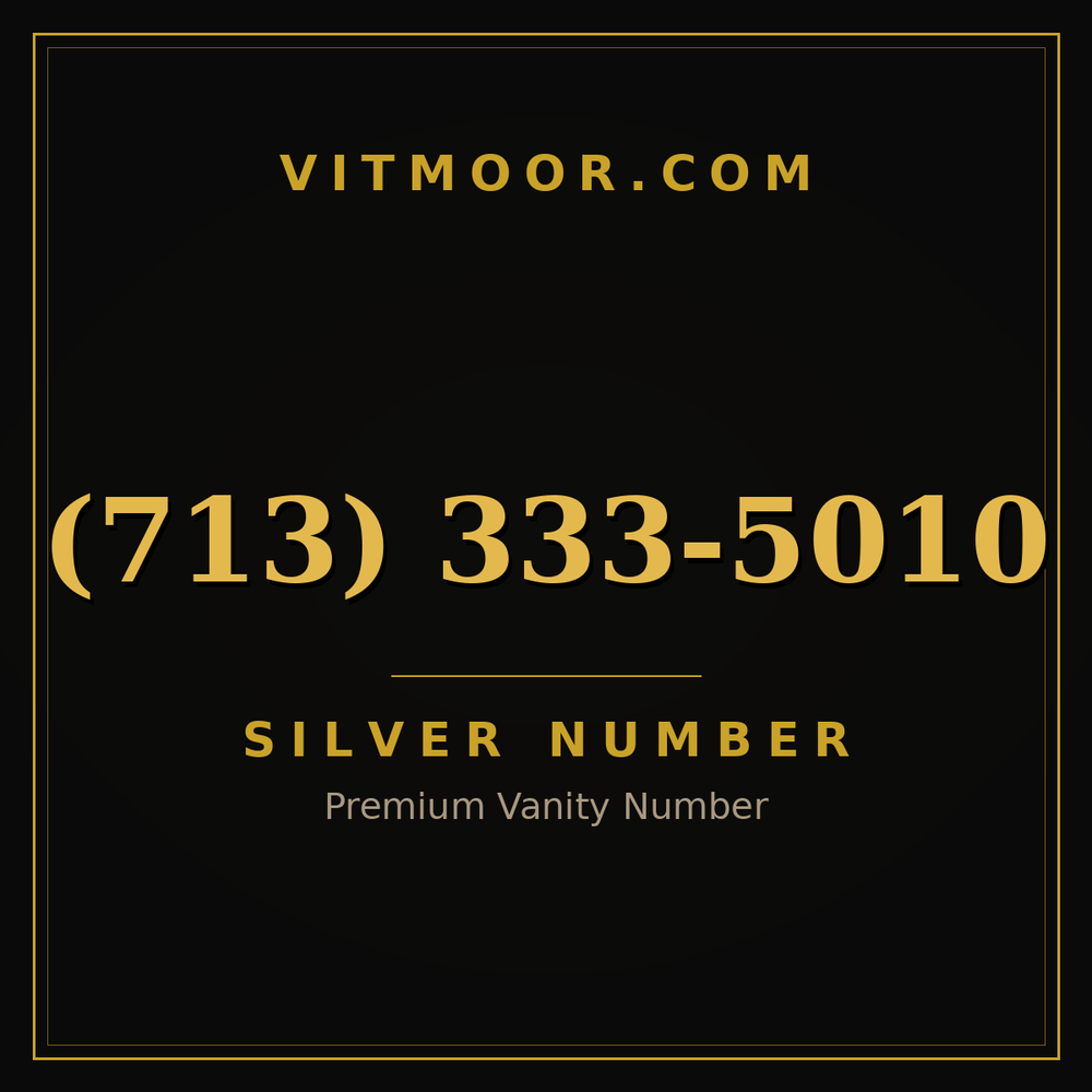 713 333-5010