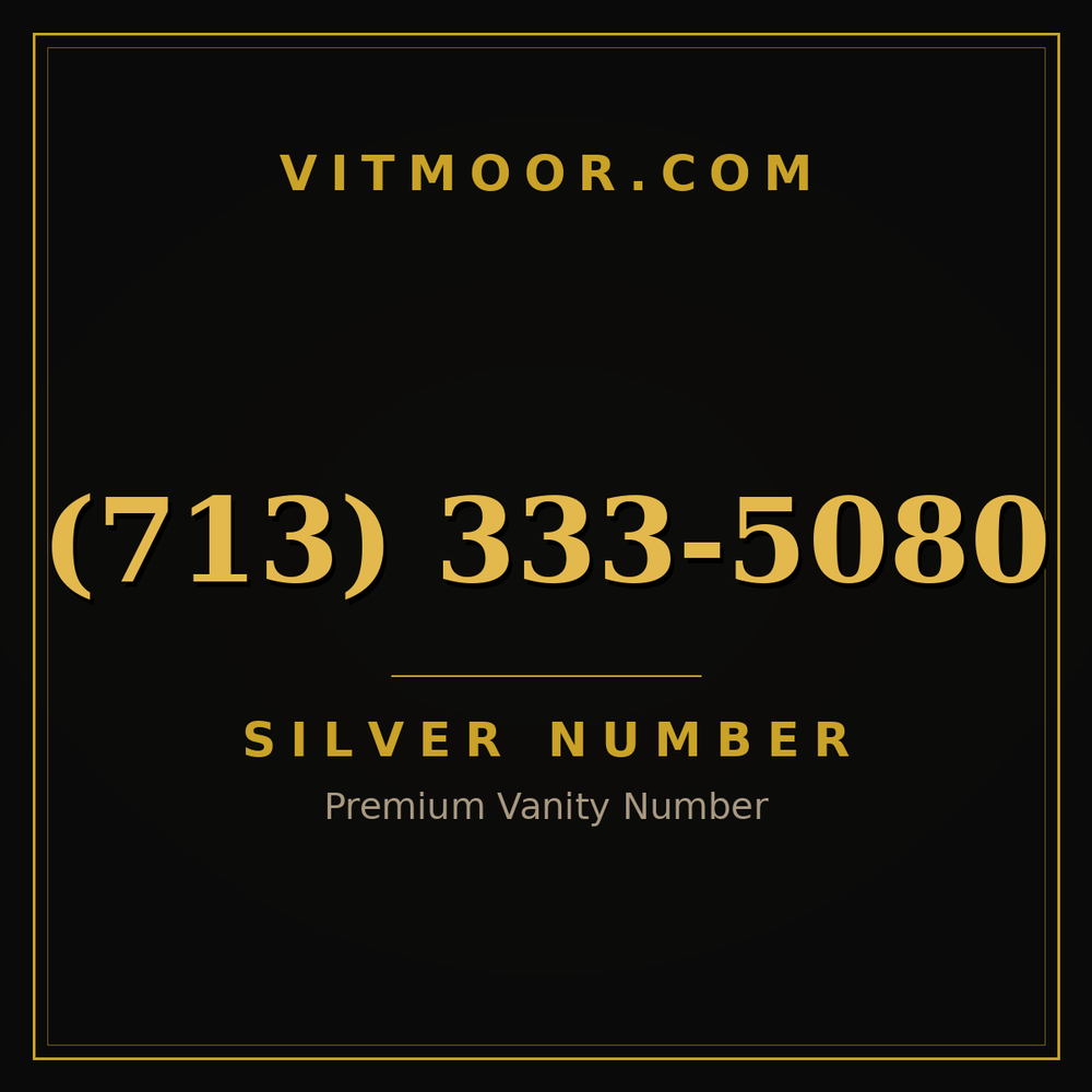 713 333-5080