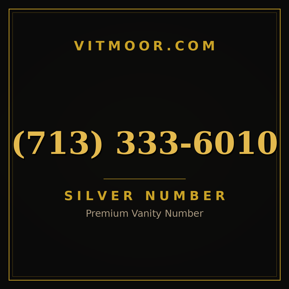 713 333-6010
