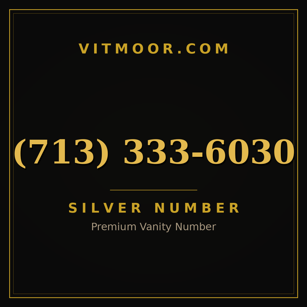 713 333-6030