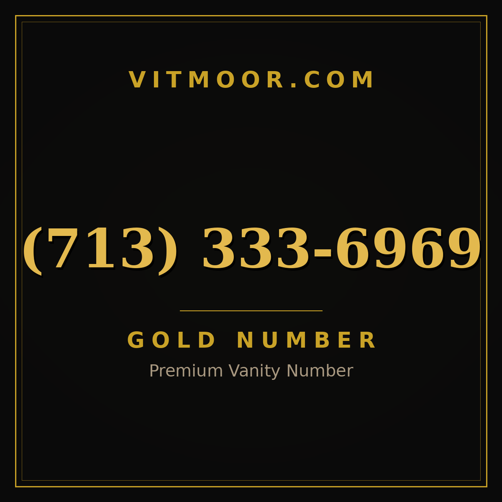 713 333-6969