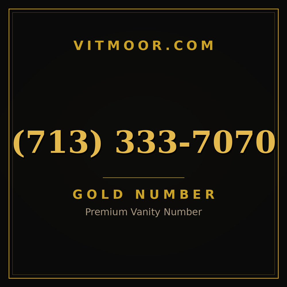 713 333-7070