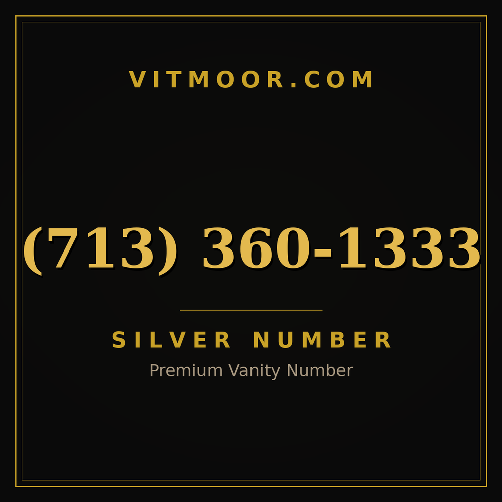 713 360-1333