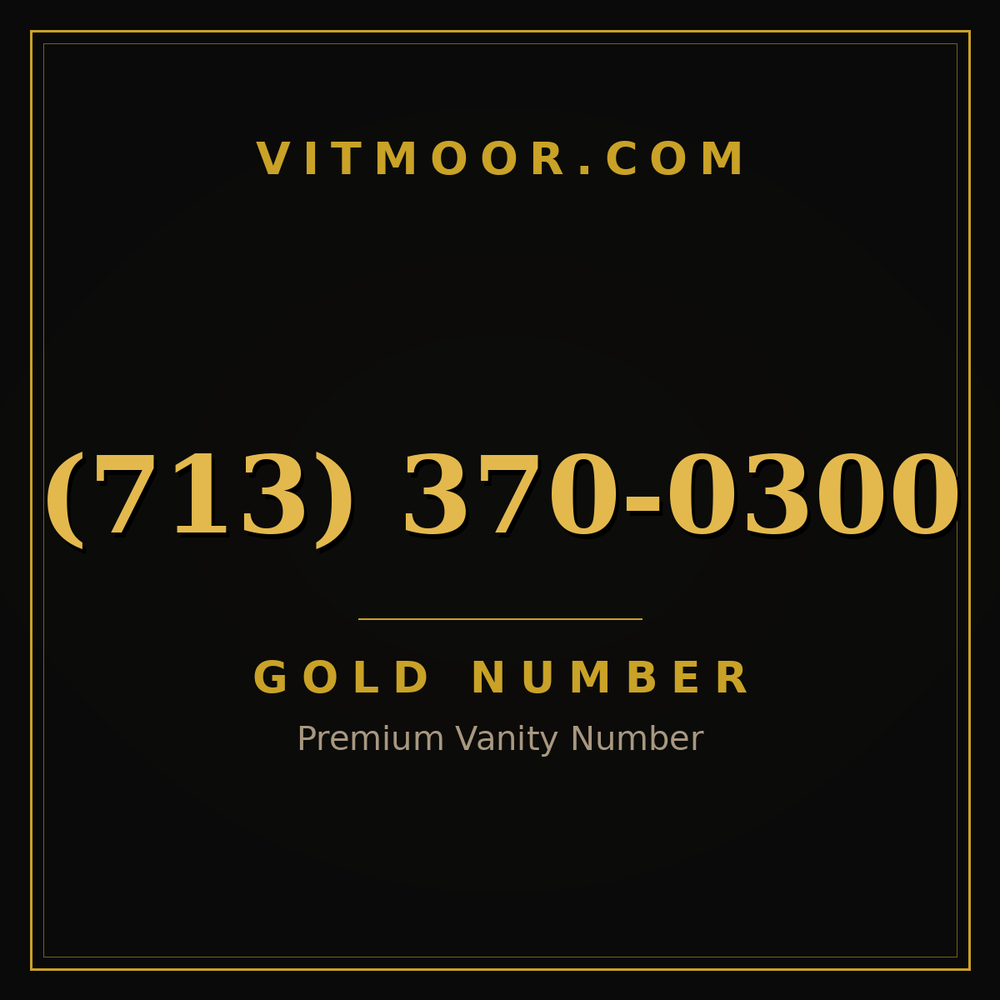 713 370-0300