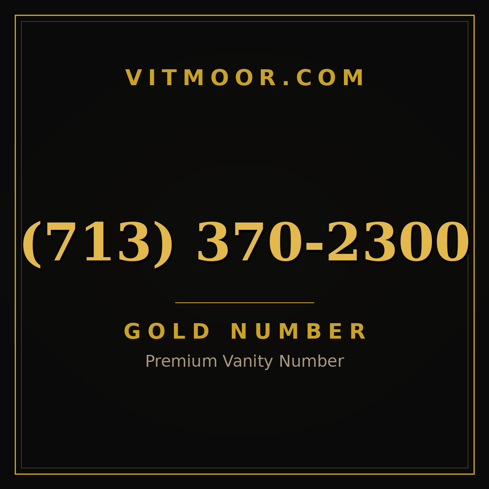 713 370-2300