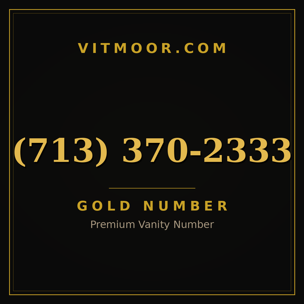 713 370-2333