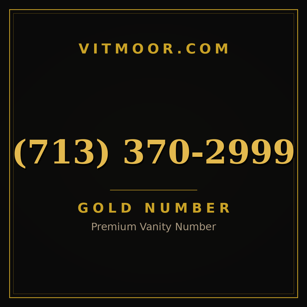 713 370-2999