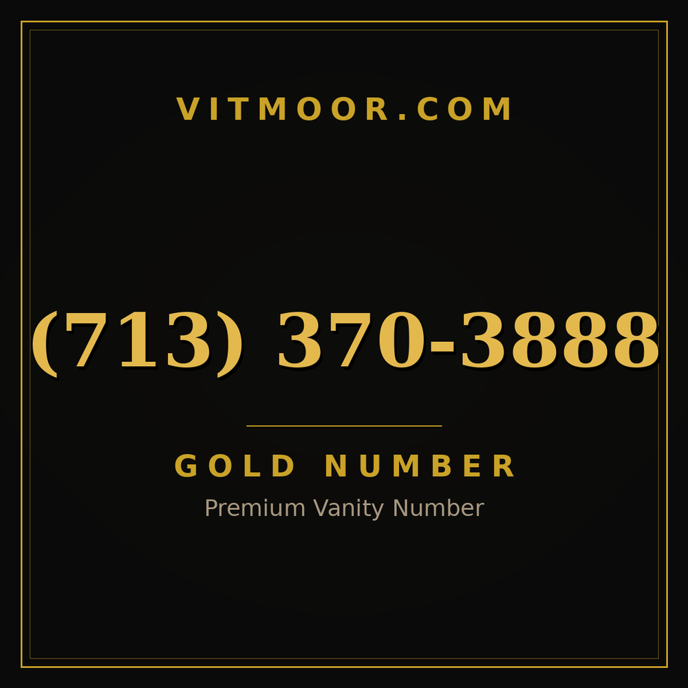 713 370-3888
