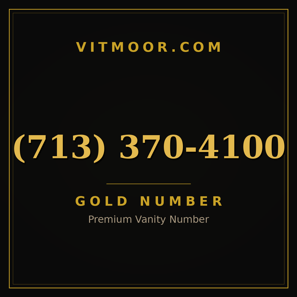 713 370-4100