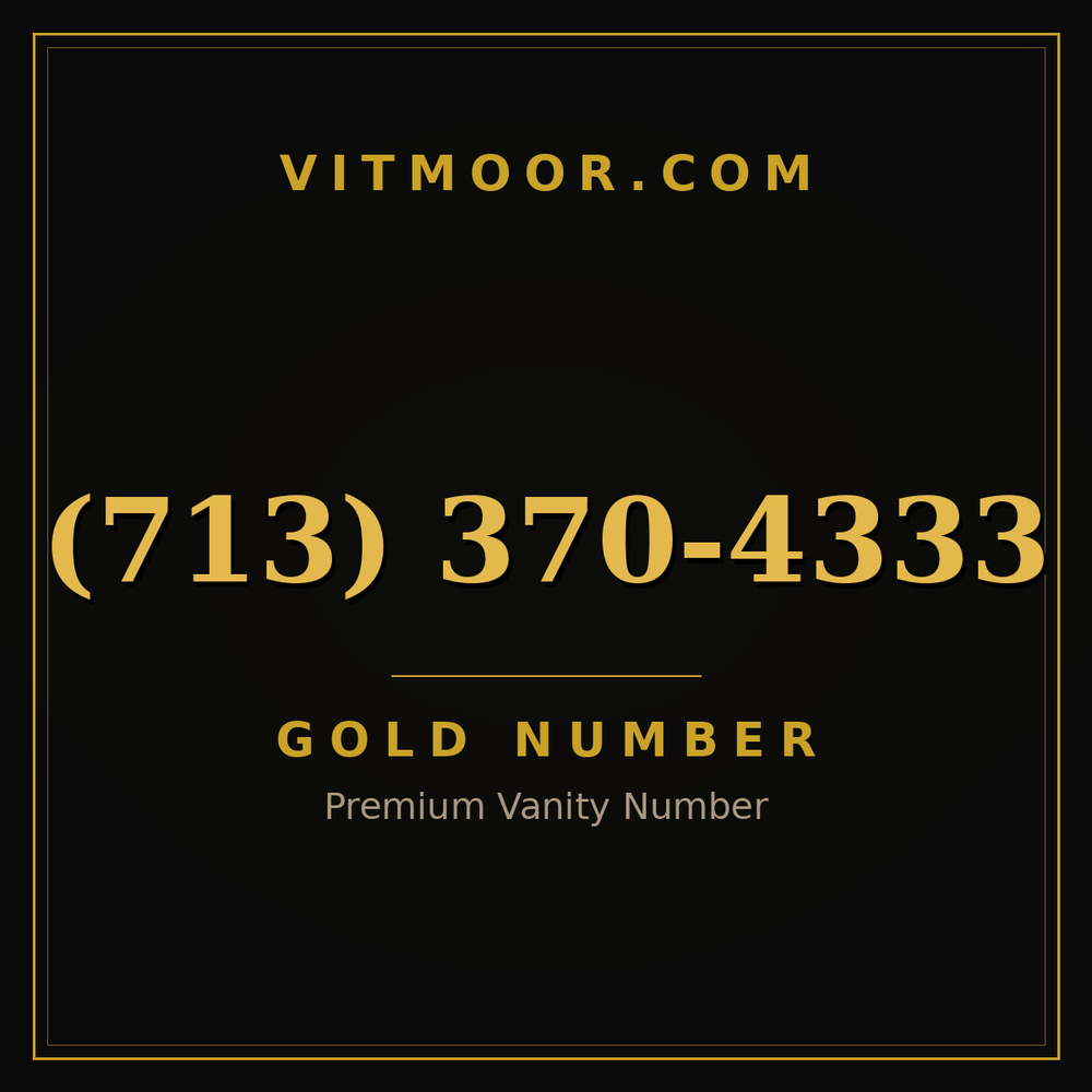 713 370-4333