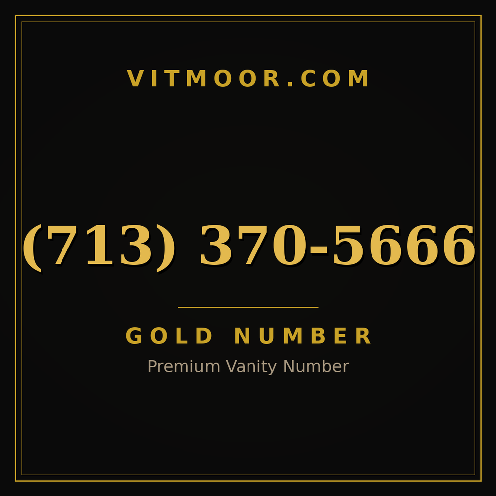 713 370-5666