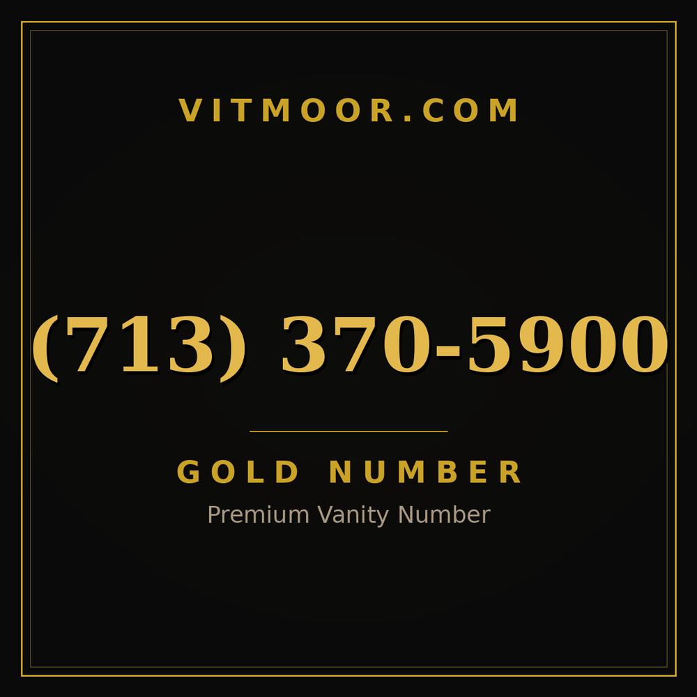 713 370-5900