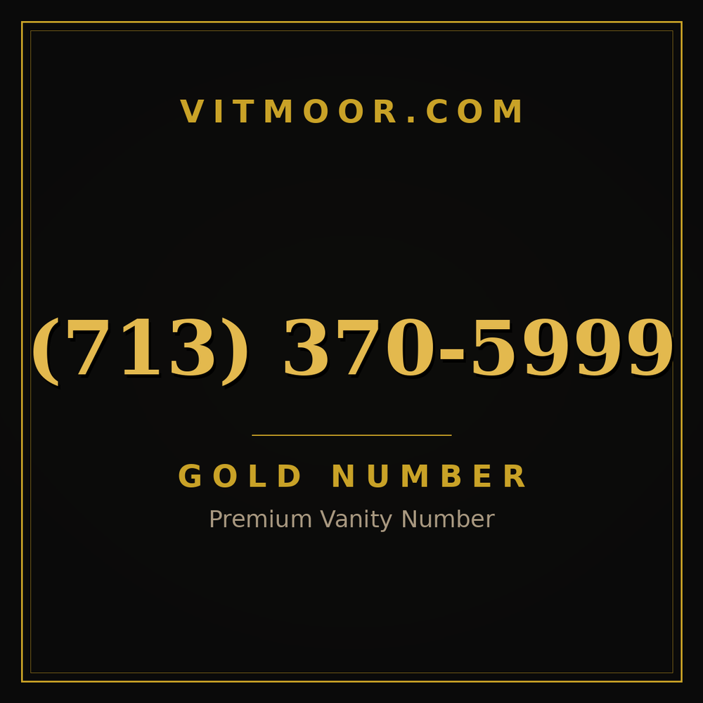 713 370-5999
