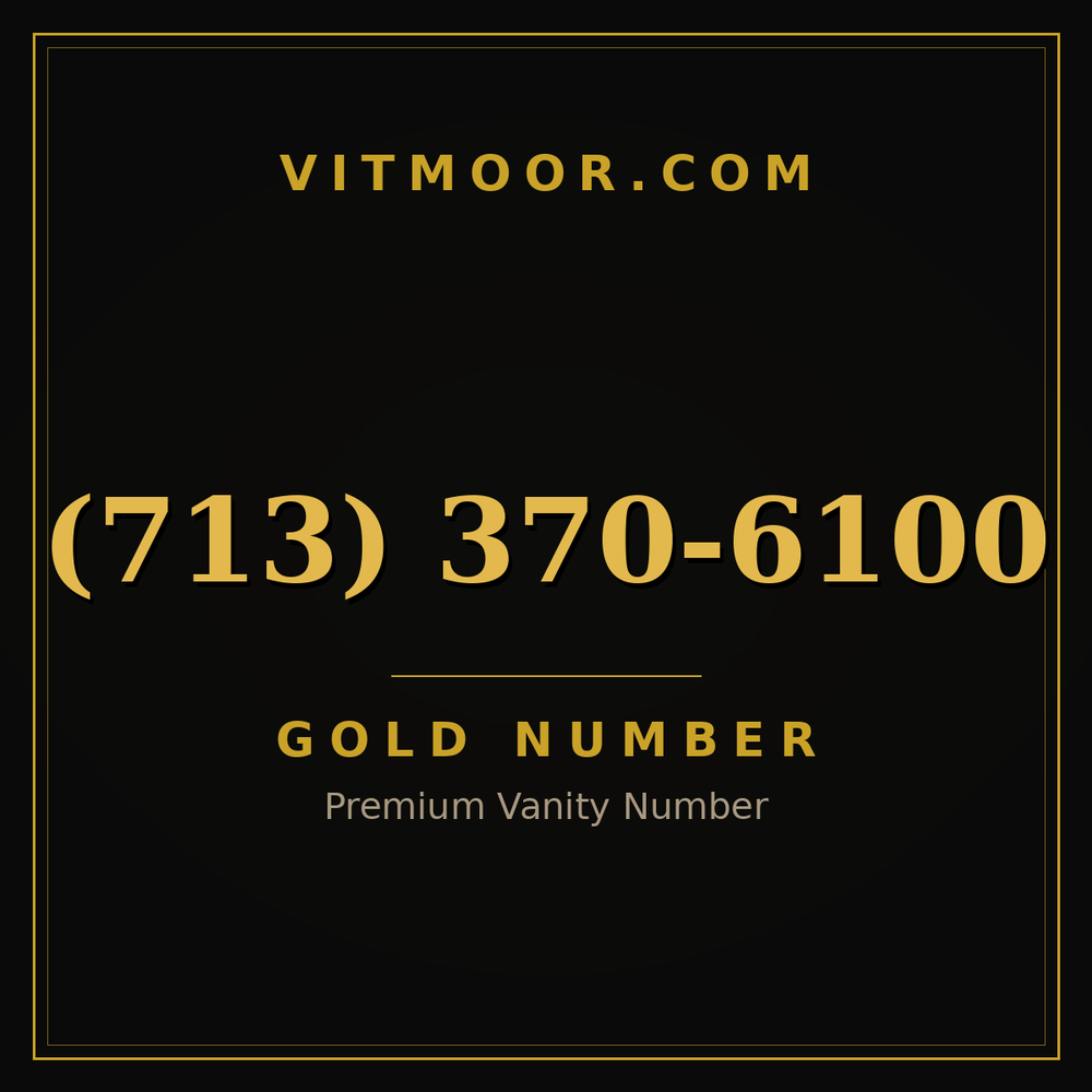 713 370-6100