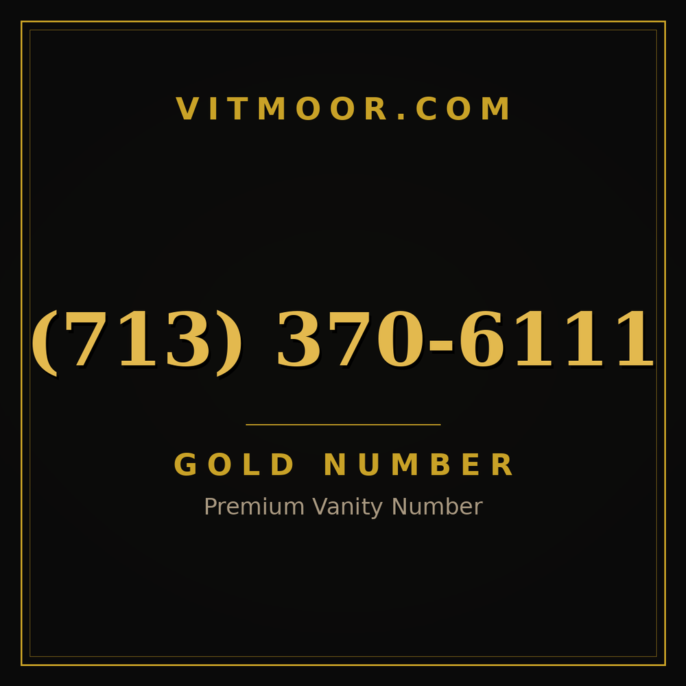 713 370-6111