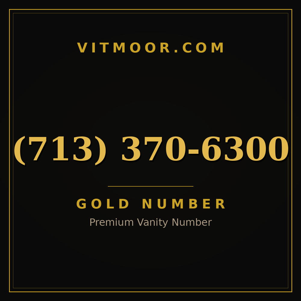 713 370-6300