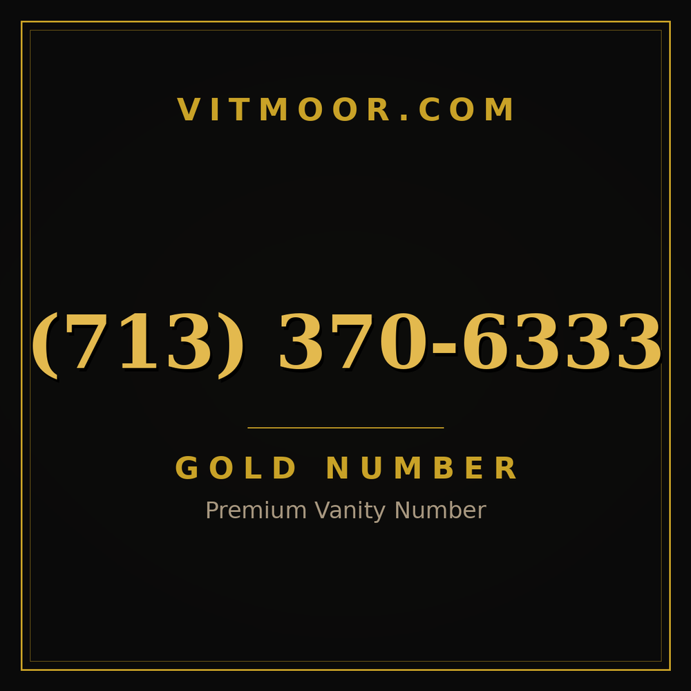 713 370-6333
