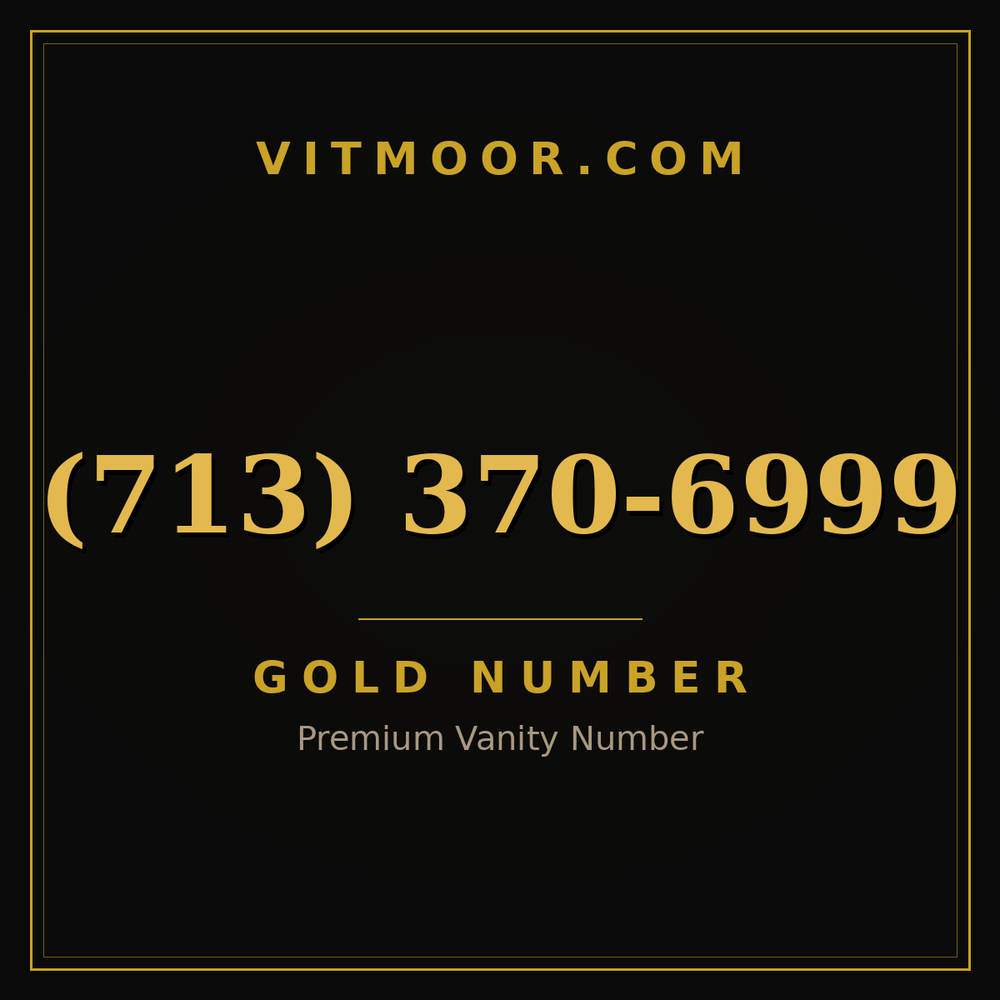 713 370-6999