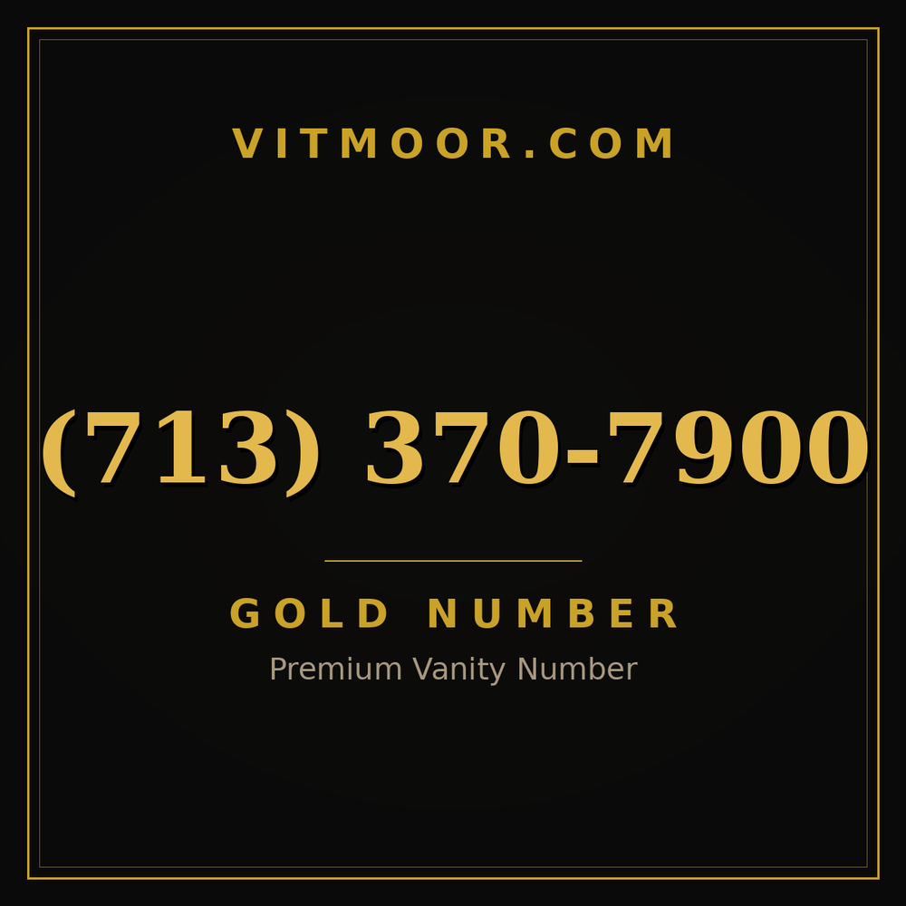 713 370-7900