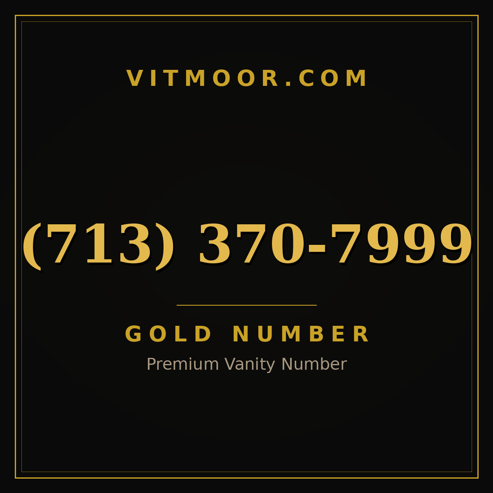 713 370-7999