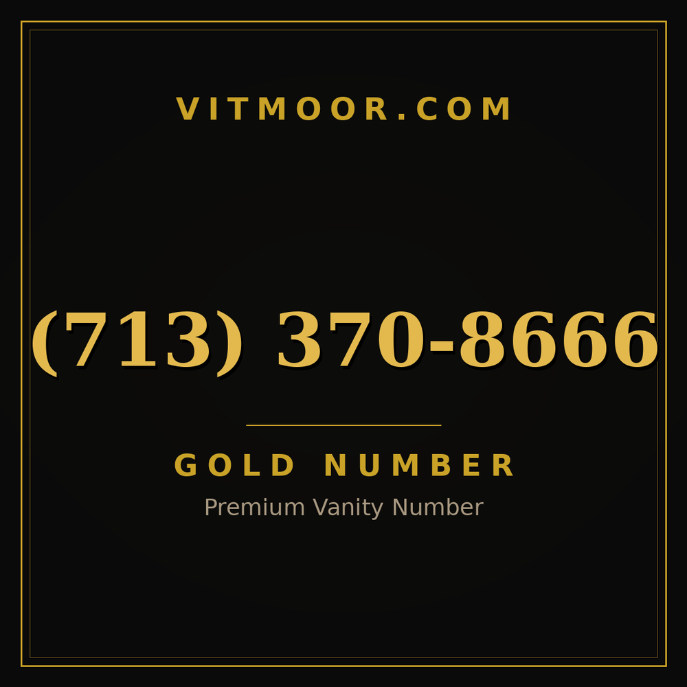 713 370-8666