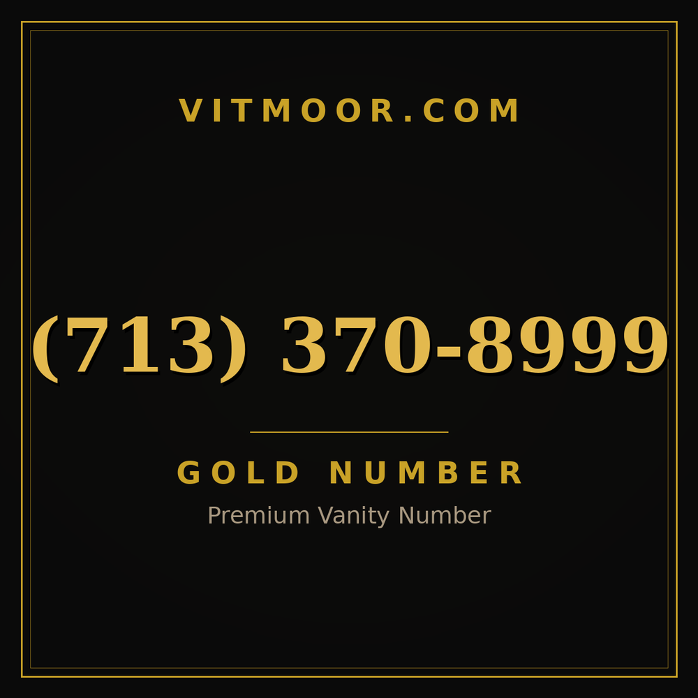 713 370-8999