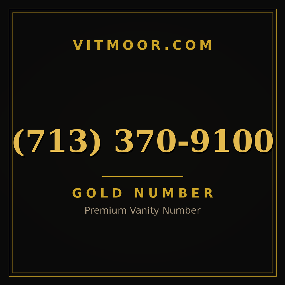 713 370-9100