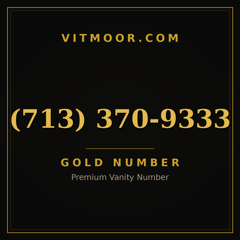 713 370-9333