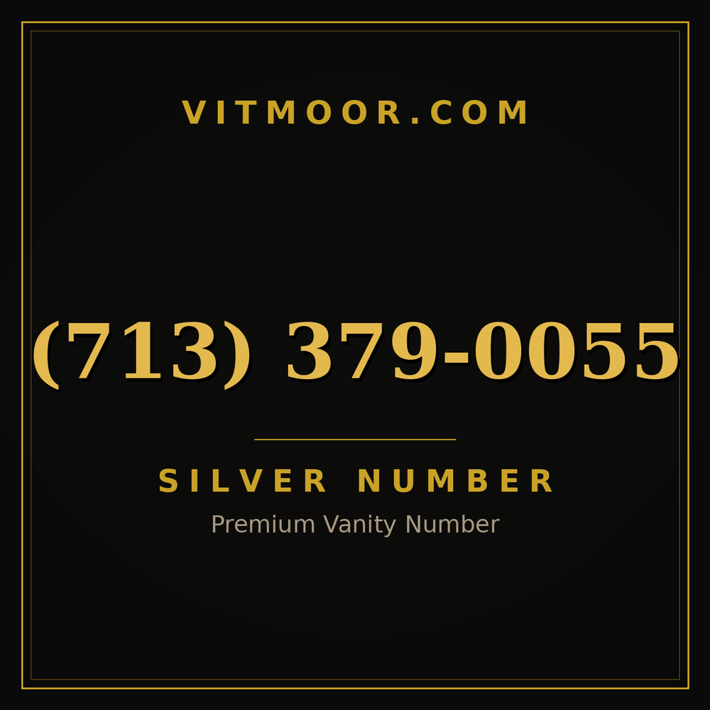 713 379-0055