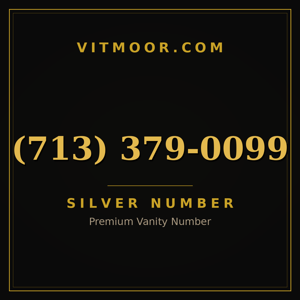 713 379-0099