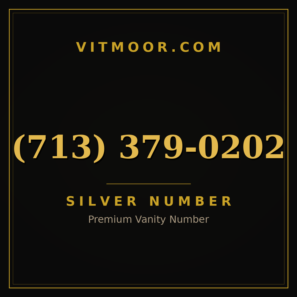 713 379-0202