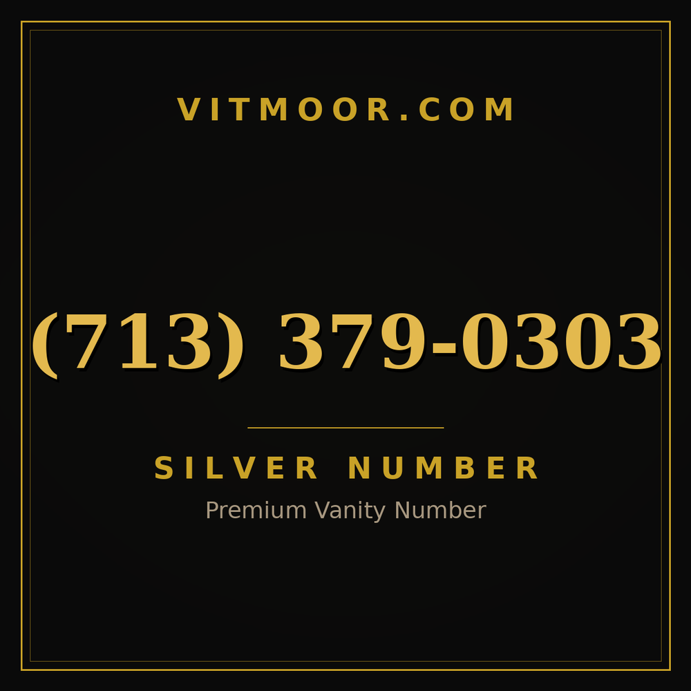 713 379-0303