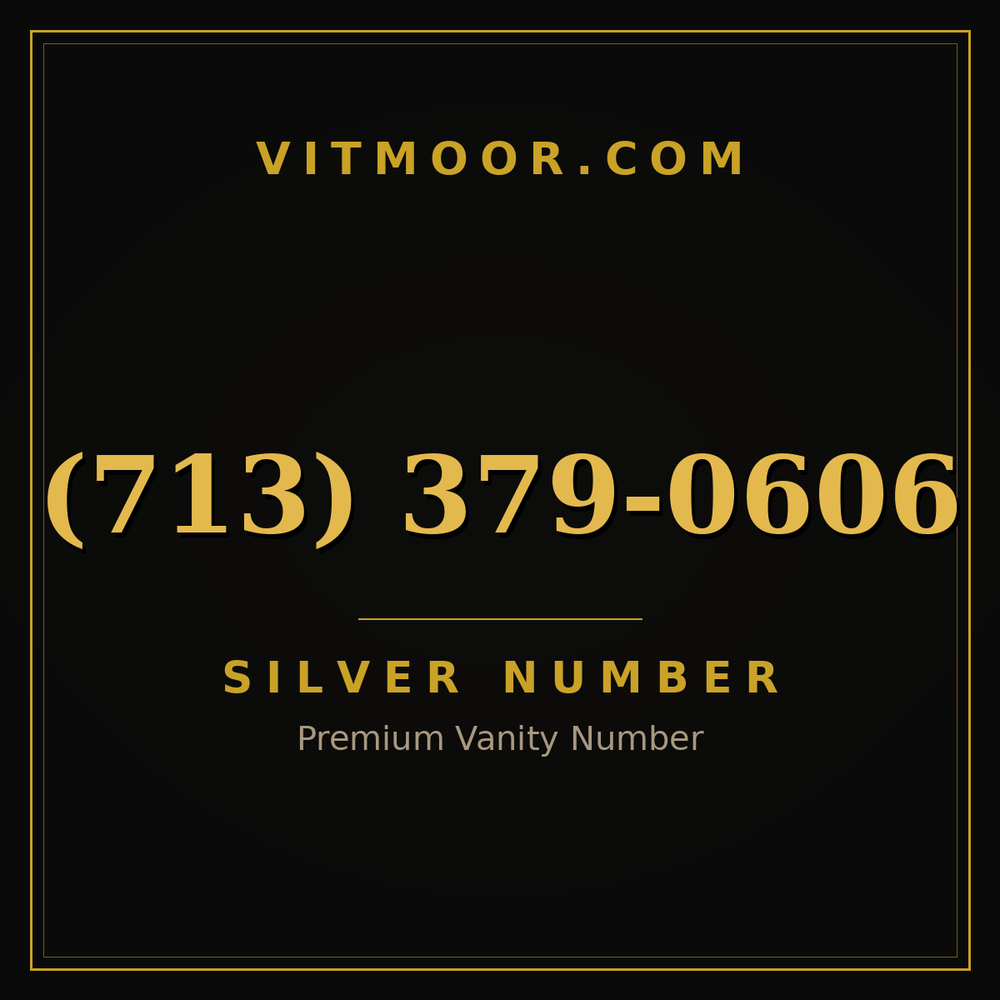 713 379-0606