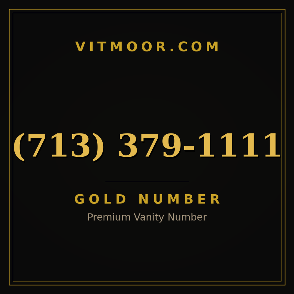 713 379-1111