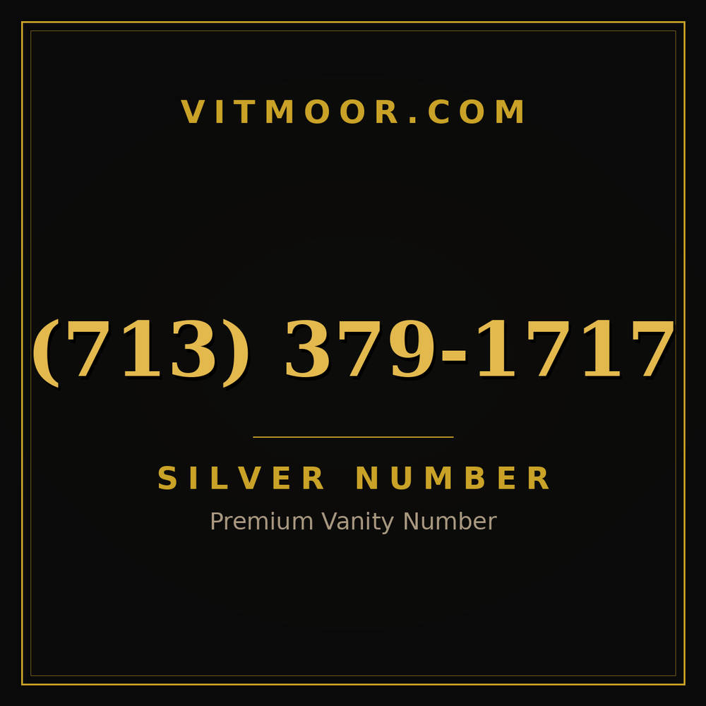 713 379-1717