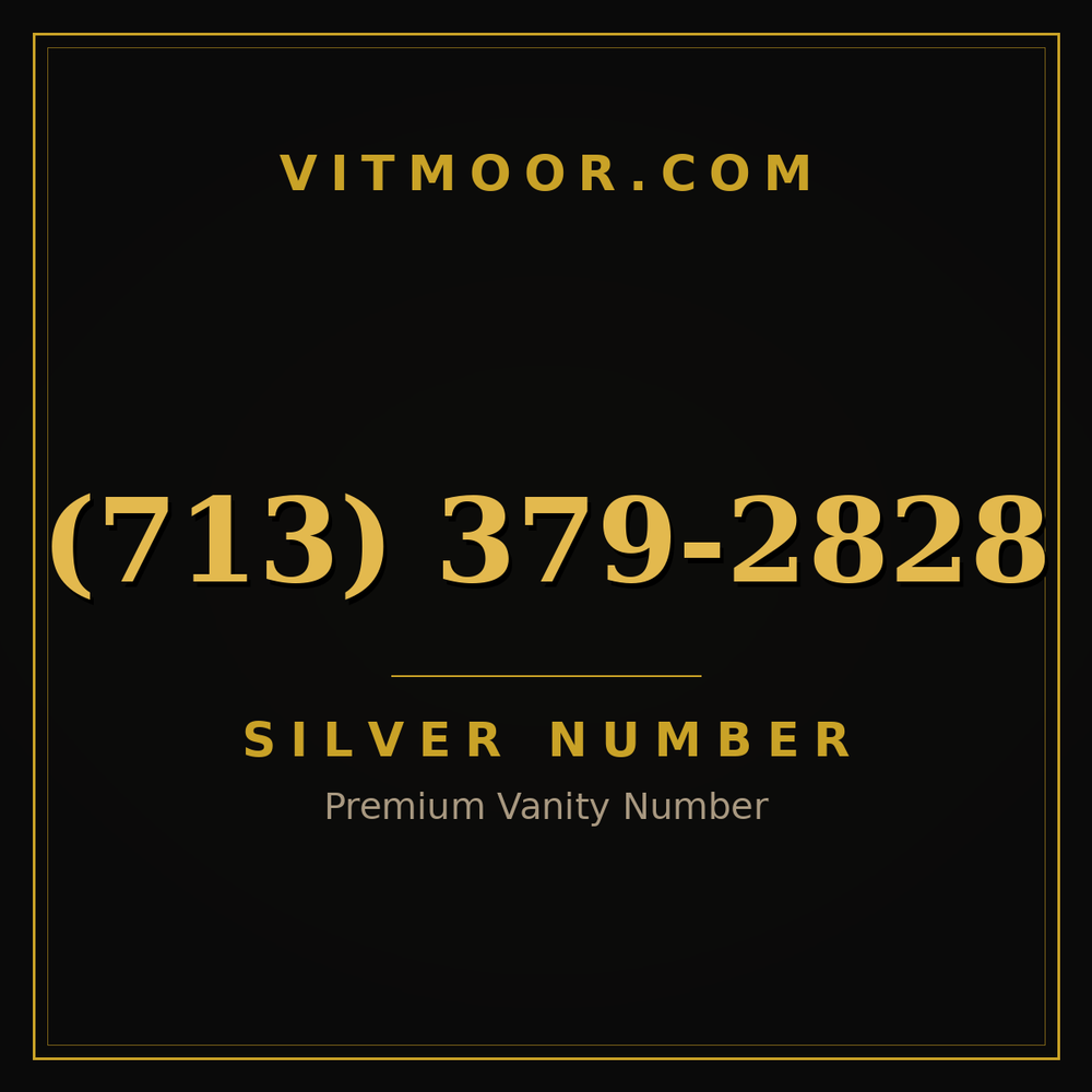 713 379-2828