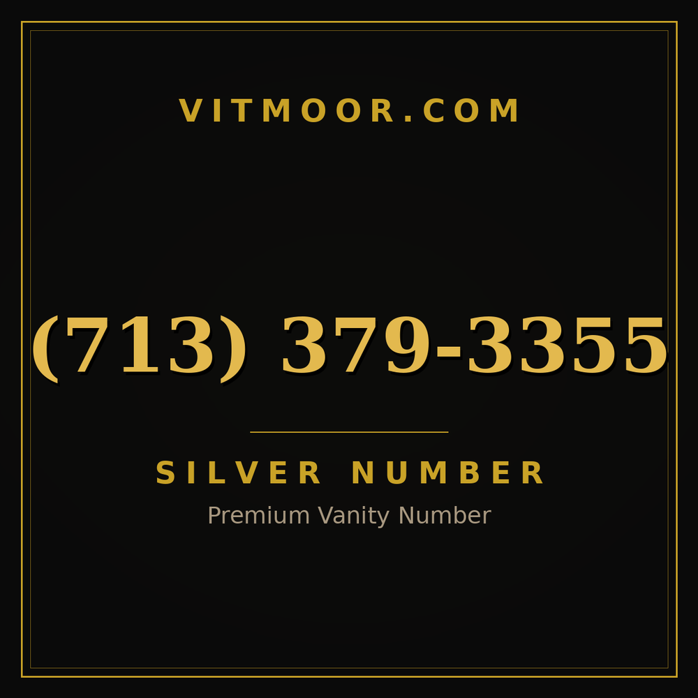 713 379-3355