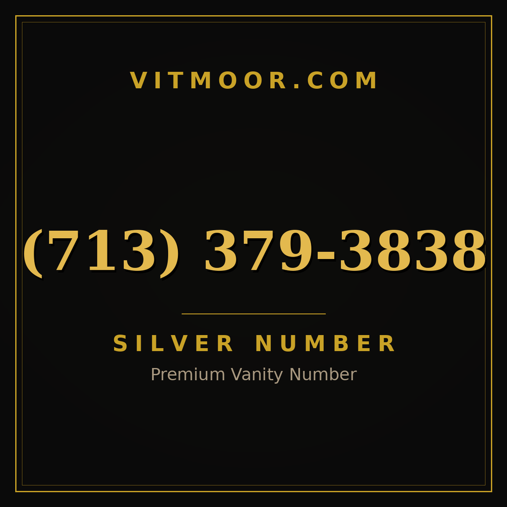 713 379-3838