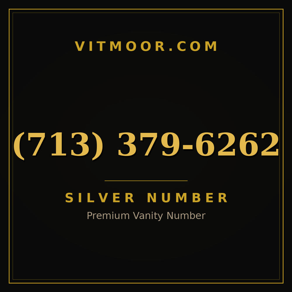 713 379-6262