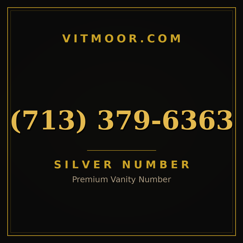 713 379-6363
