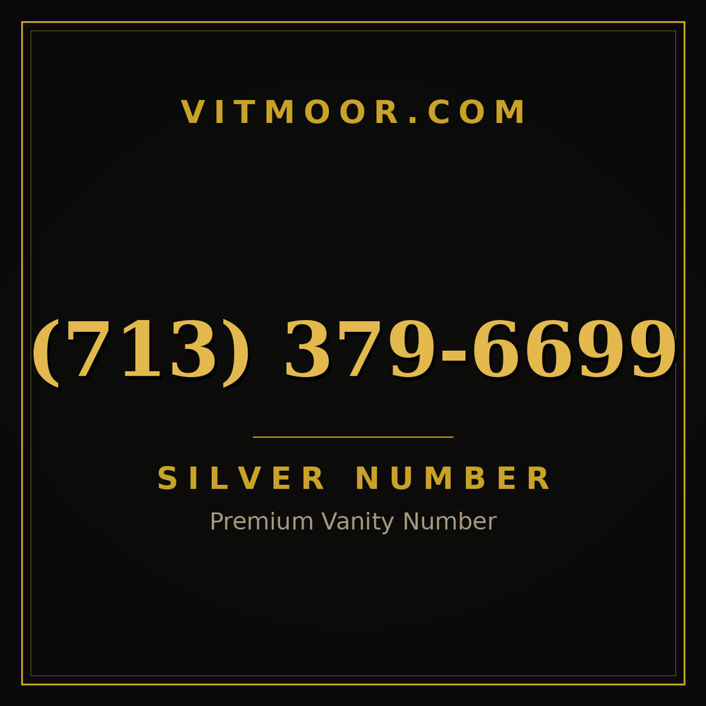 713 379-6699
