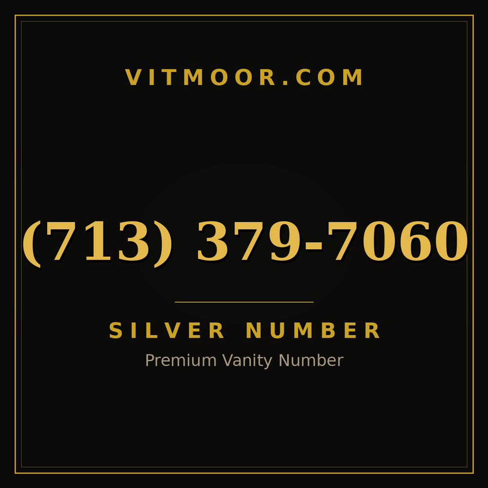 713 379-7060