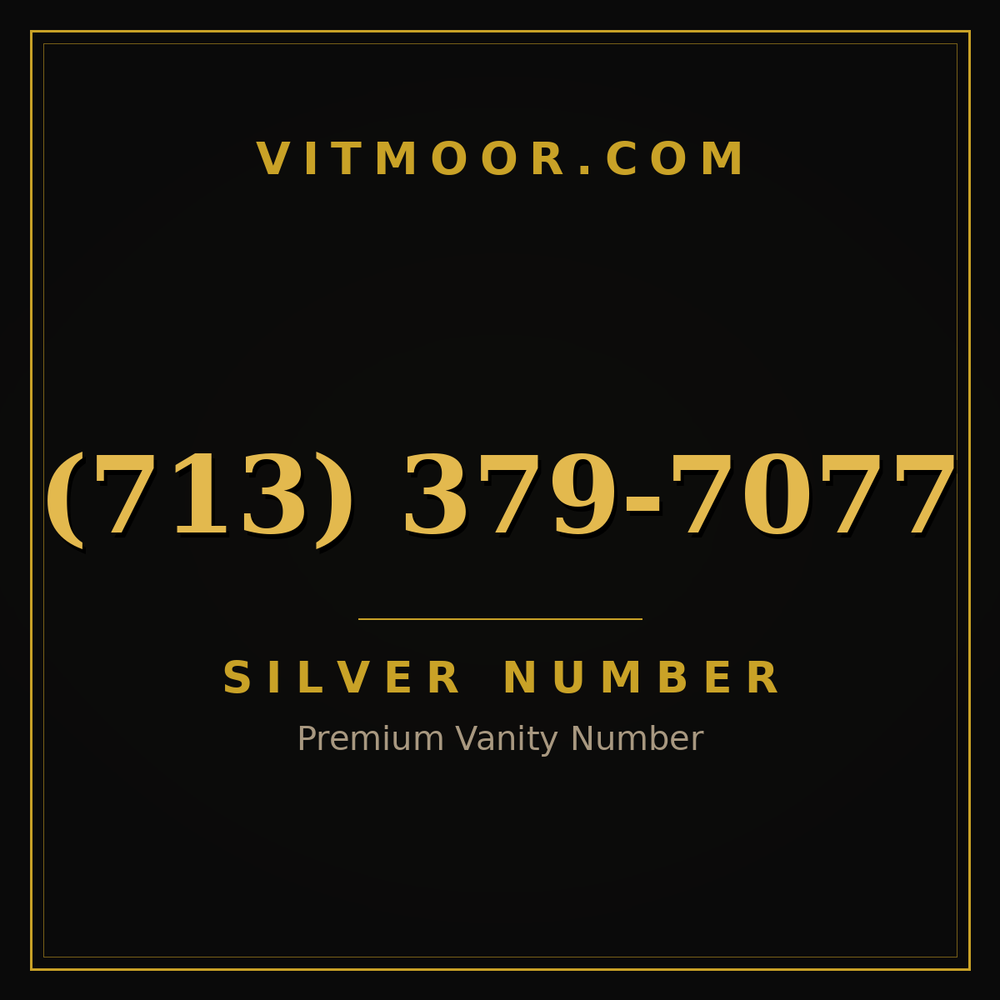 713 379-7077