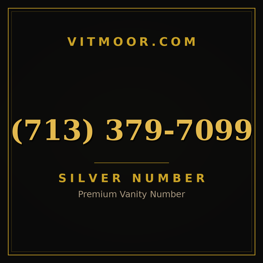 713 379-7099