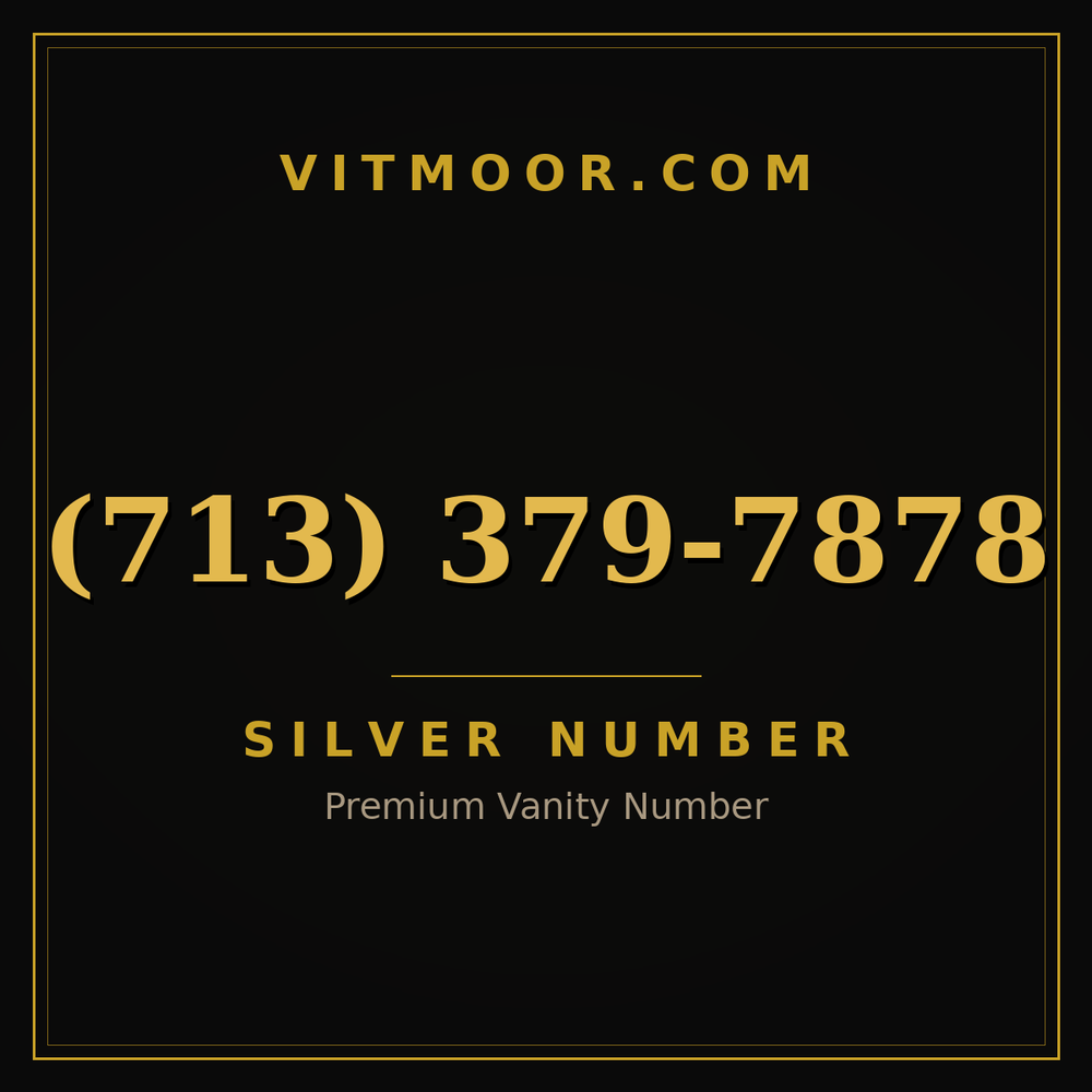 713 379-7878