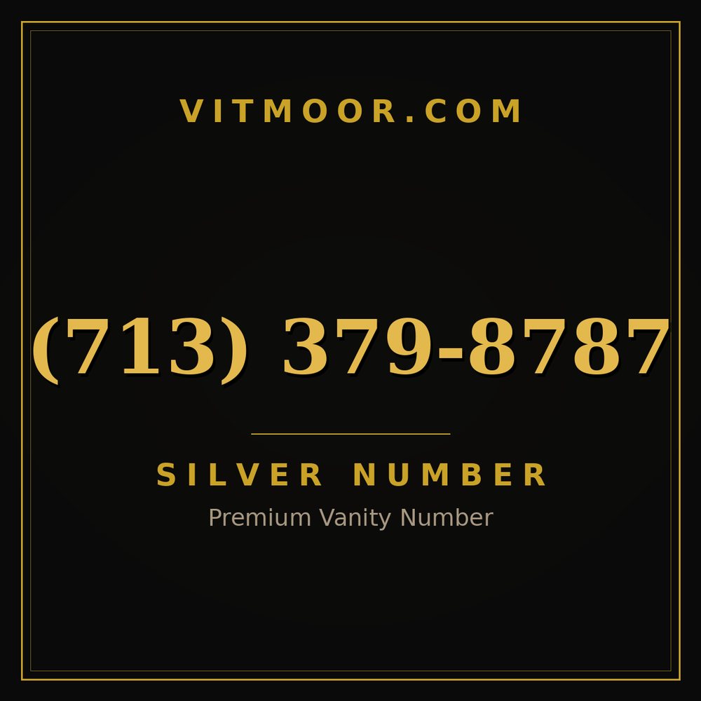 713 379-8787